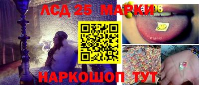 стафф Кингисепп