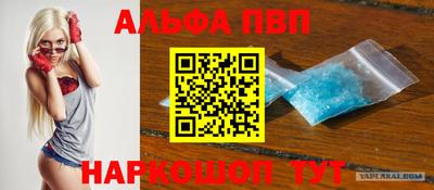 стафф Кингисепп