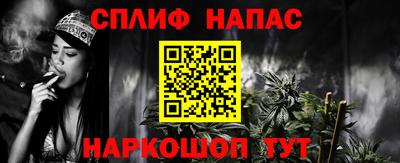 стафф Кингисепп