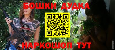 стафф Кингисепп