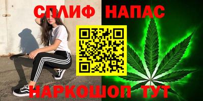 стафф Кингисепп