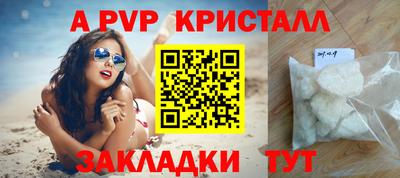 стафф Кингисепп