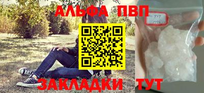 стафф Кингисепп
