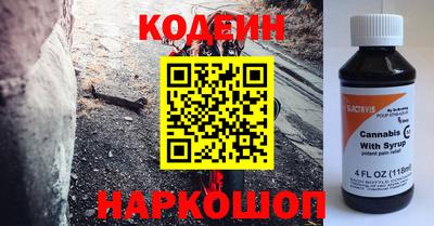 стафф Кингисепп